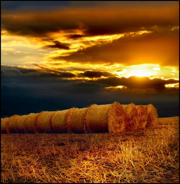 Amazing photos of nature (16 photos)