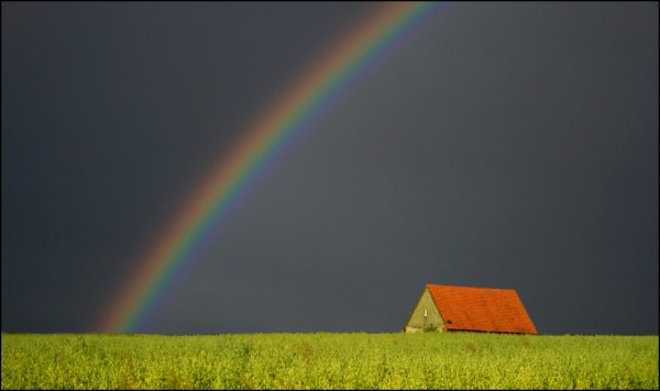 Amazing photos of nature (16 photos)