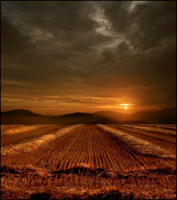 Amazing photos of nature (16 photos)