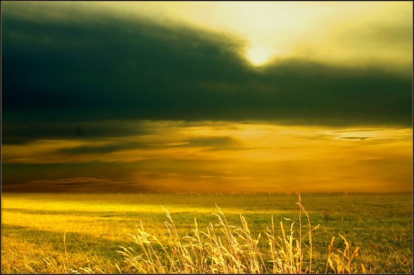 Amazing photos of nature (16 photos)