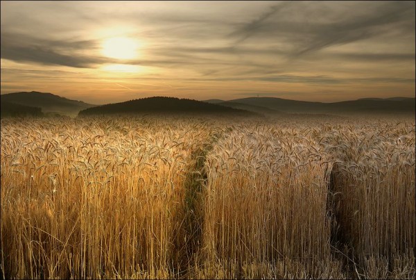 Amazing photos of nature (16 photos)