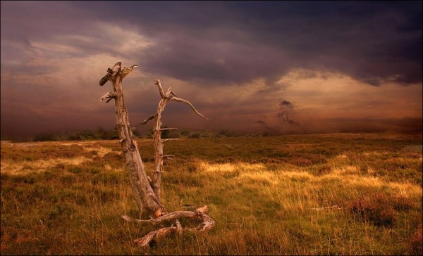 Amazing photos of nature (16 photos)