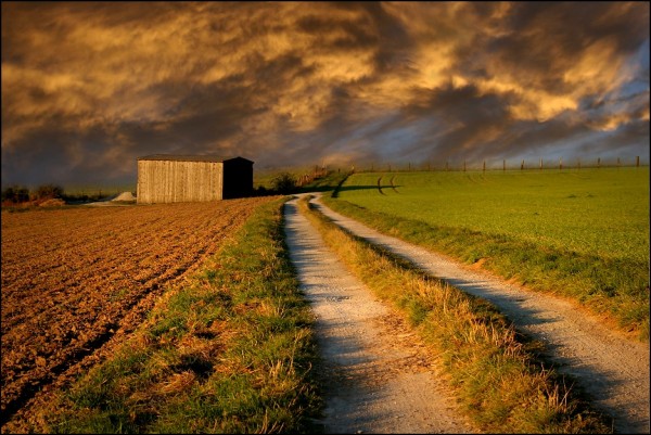 Amazing photos of nature (16 photos)
