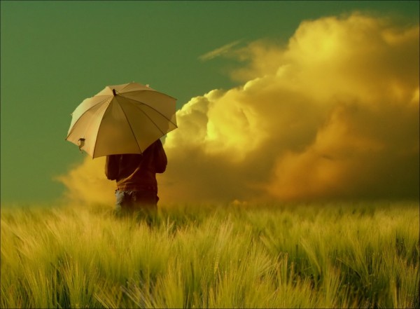 Amazing photos of nature (16 photos)