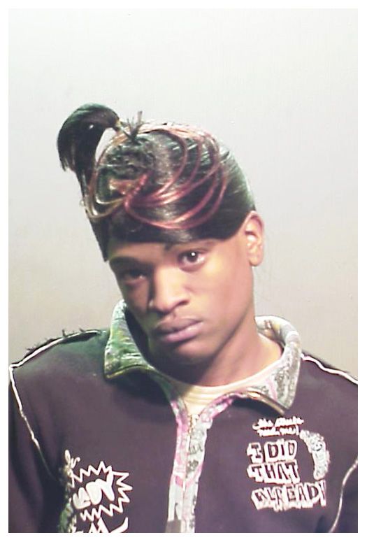 Another series of mugshots (14 photos)