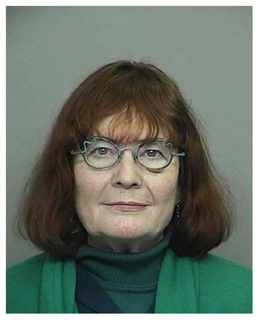 Another series of mugshots (14 photos)