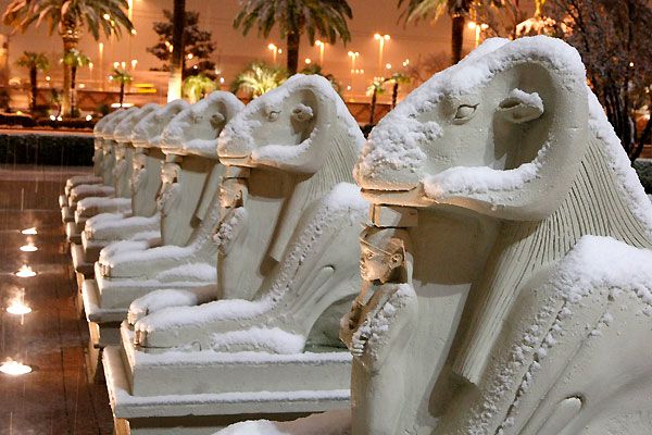 Snowy Las Vegas (10 photos)