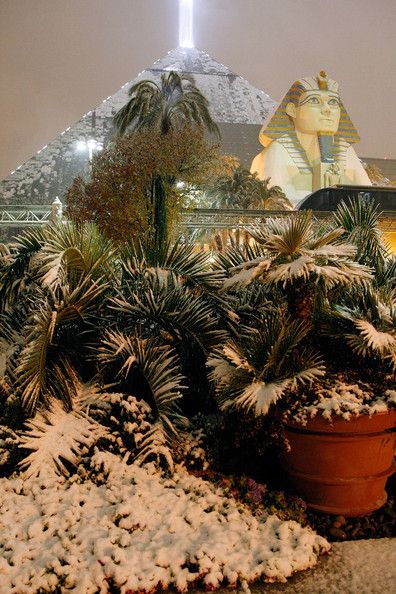 Snowy Las Vegas (10 photos)