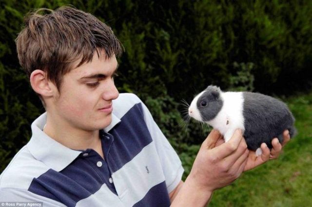 Rabbit Vincent (3 photos)