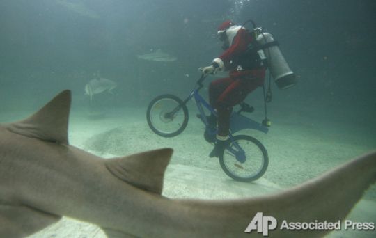 Santas took over the whole world (57 photos)