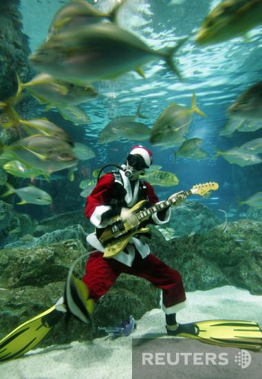 Santas took over the whole world (57 photos)