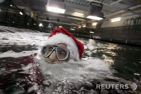 Santas took over the whole world (57 photos)