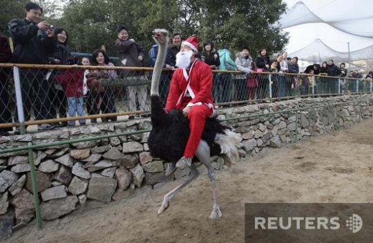 Santas took over the whole world (57 photos)