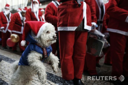 Santas took over the whole world (57 photos)