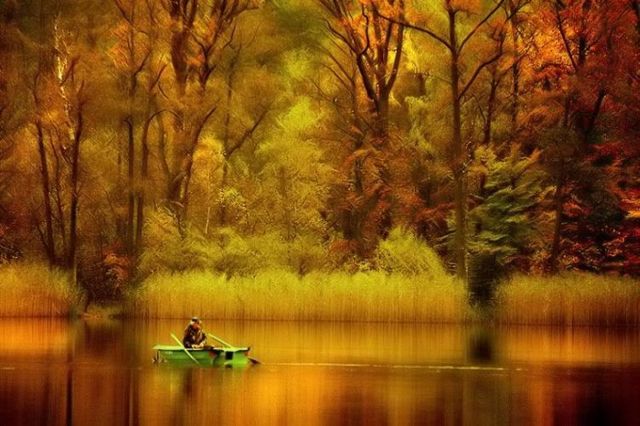 Beautiful nature (44 photos)