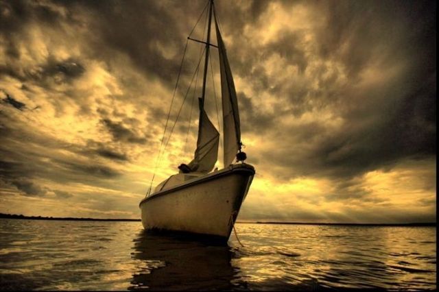Beautiful nature (44 photos)