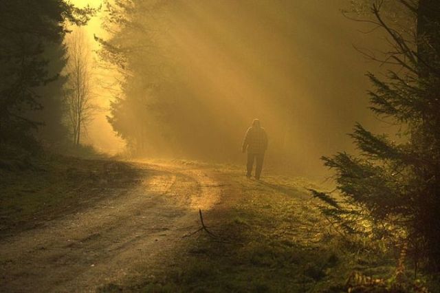 Beautiful nature (44 photos)