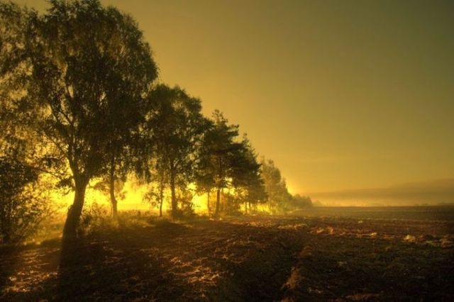 Beautiful nature (44 photos)