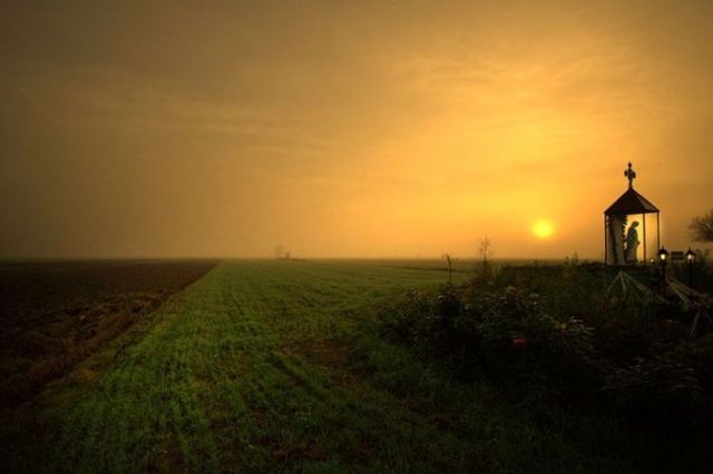 Beautiful nature (44 photos)