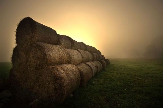 Beautiful nature (44 photos)