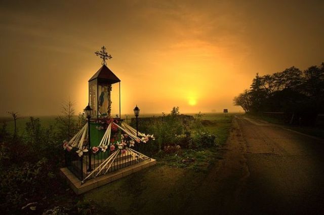 Beautiful nature (44 photos)