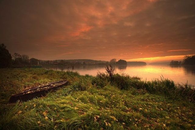 Beautiful nature (44 photos)