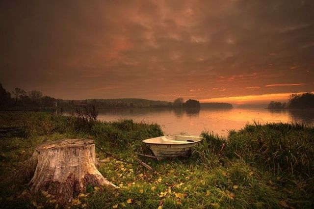 Beautiful nature (44 photos)
