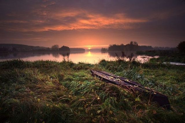 Beautiful nature (44 photos)