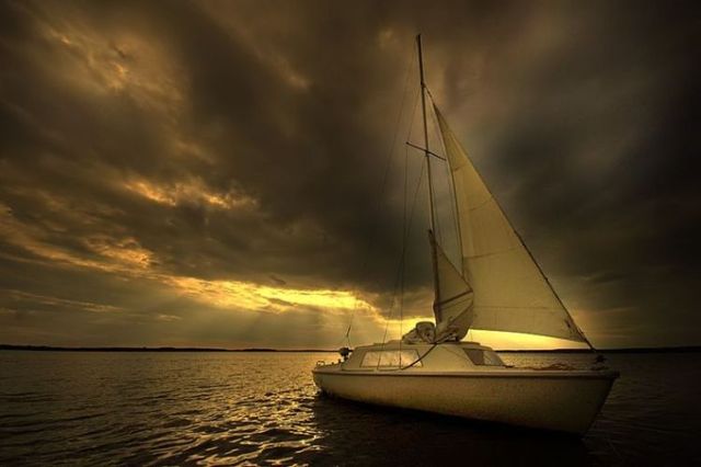 Beautiful nature (44 photos)