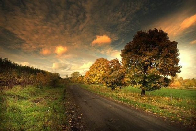 Beautiful nature (44 photos)
