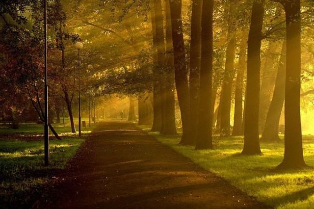 Beautiful nature (44 photos)