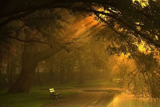 Beautiful nature (44 photos)