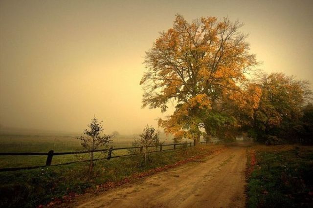 Beautiful nature (44 photos)