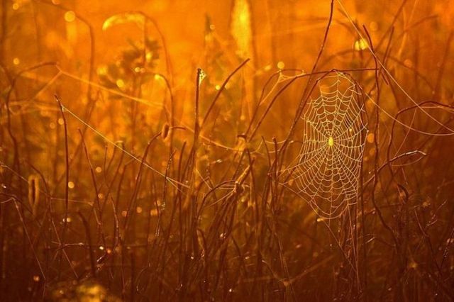 Beautiful nature (44 photos)