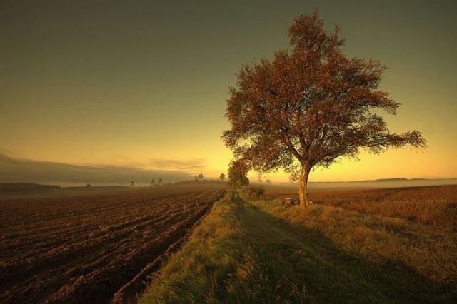 Beautiful nature (44 photos)