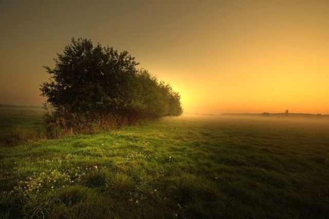 Beautiful nature (44 photos)