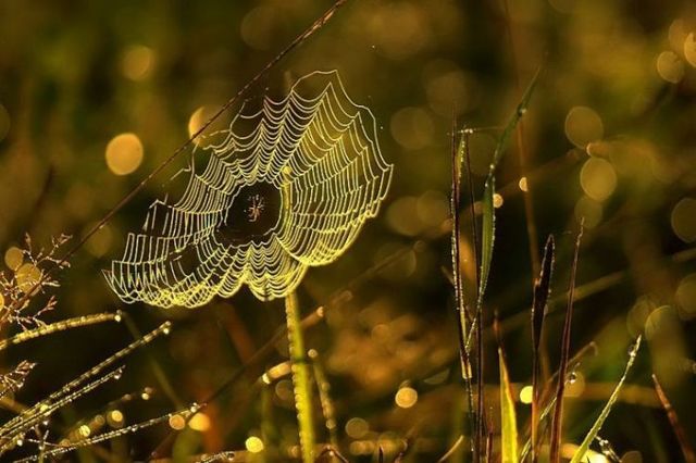 Beautiful nature (44 photos)