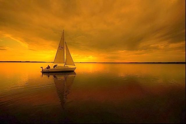 Beautiful nature (44 photos)
