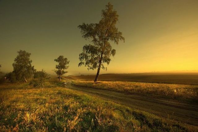 Beautiful nature (44 photos)