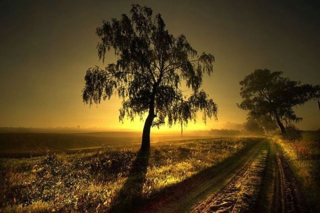 Beautiful nature (44 photos)