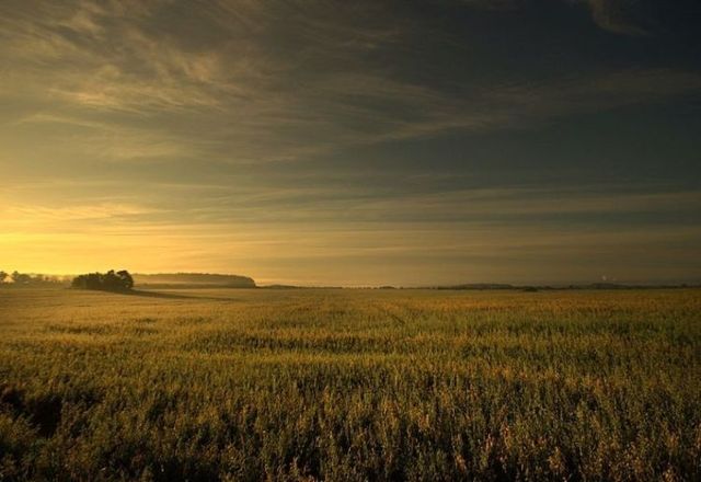 Beautiful nature (44 photos)