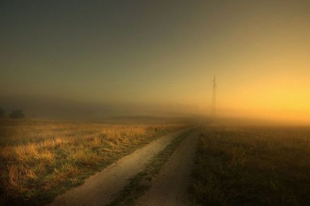 Beautiful nature (44 photos)