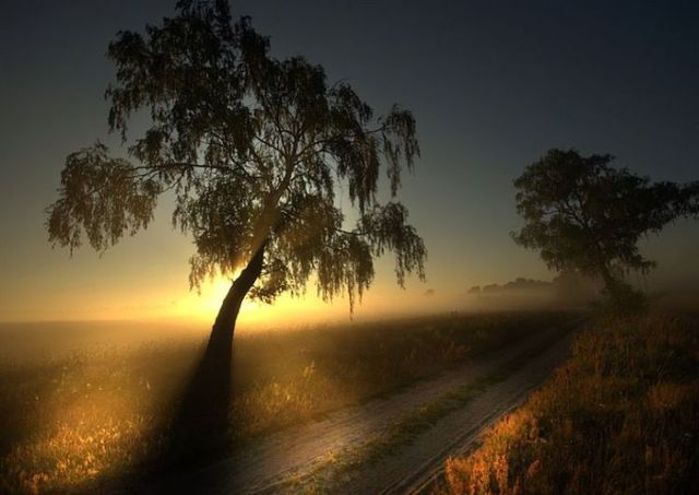 Beautiful nature (44 photos)