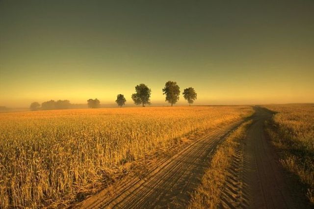 Beautiful nature (44 photos)