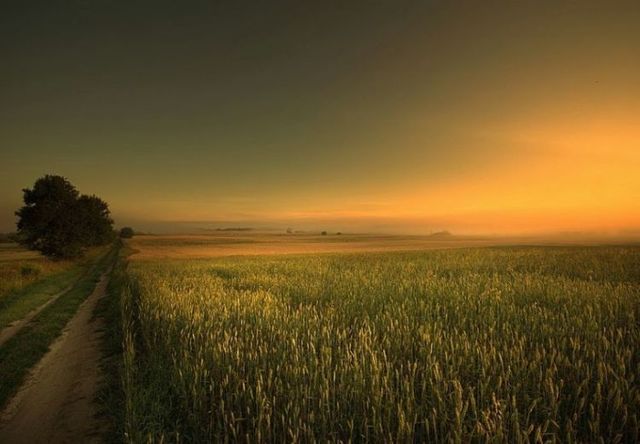 Beautiful nature (44 photos)