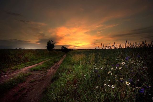 Beautiful nature (44 photos)