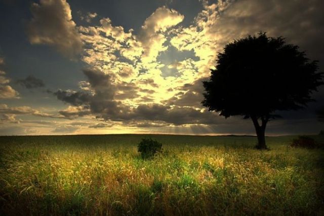 Beautiful nature (44 photos)