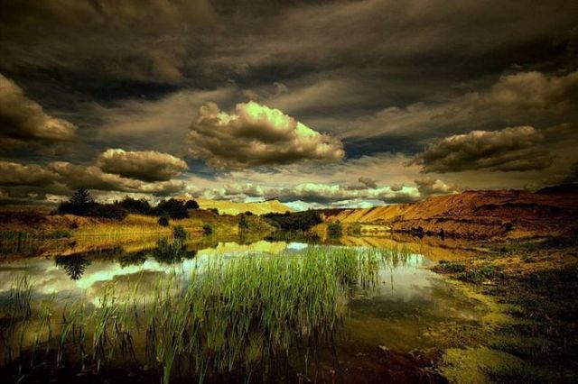 Beautiful nature (44 photos)