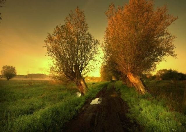 Beautiful nature (44 photos)