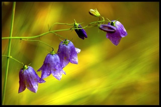 Beautiful nature (44 photos)